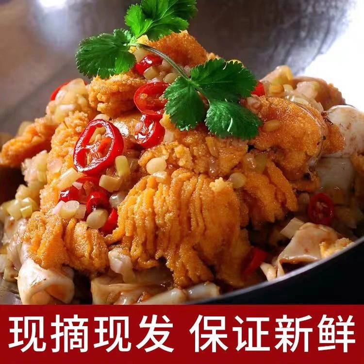 【鲤鱼籽】新鲜活鱼现取鱼籽鱼杂鱼白鲜冻冷链发货包邮美味鲜