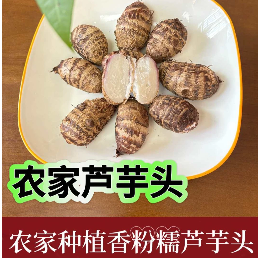 芋头广西农家农家芦芋头