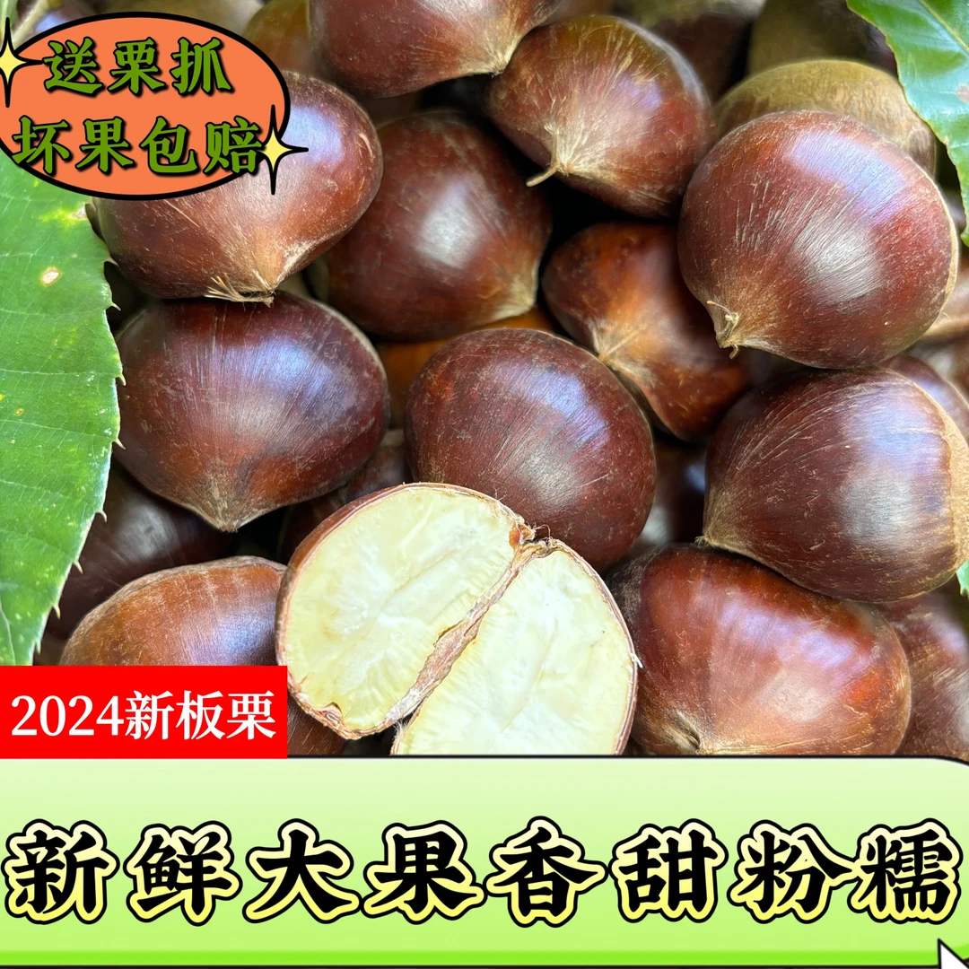 2024新鲜大果板栗