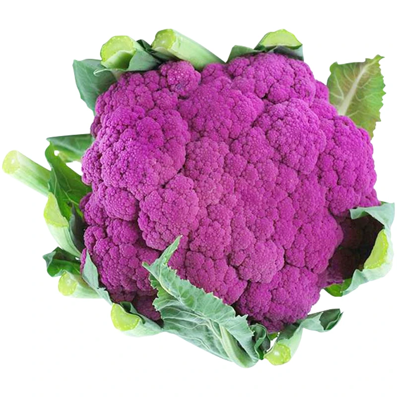 紫花菜种子春秋季四季特色花椰菜种籽大棚露地农家紫菜花蔬菜种孑