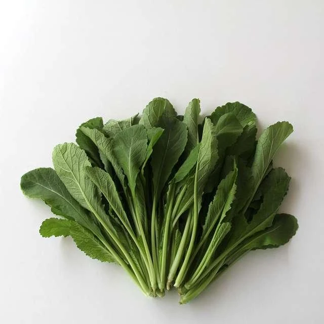 小苦菜约500g