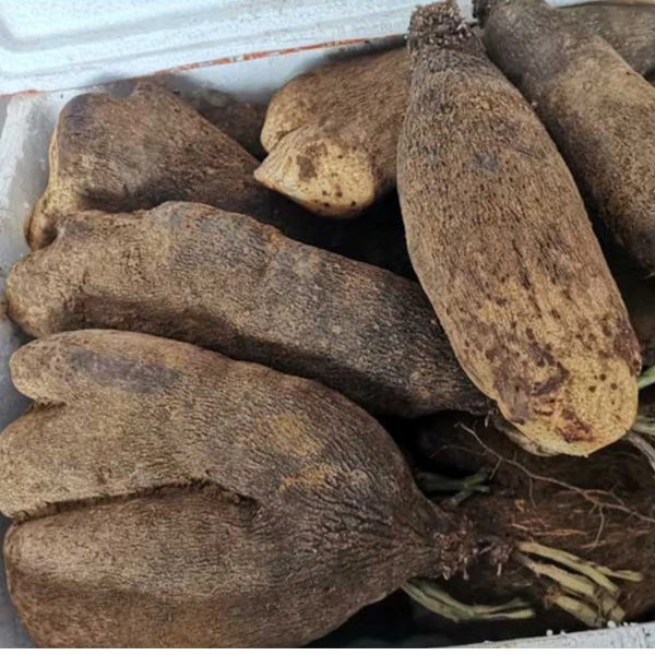 脚板山药/1kg