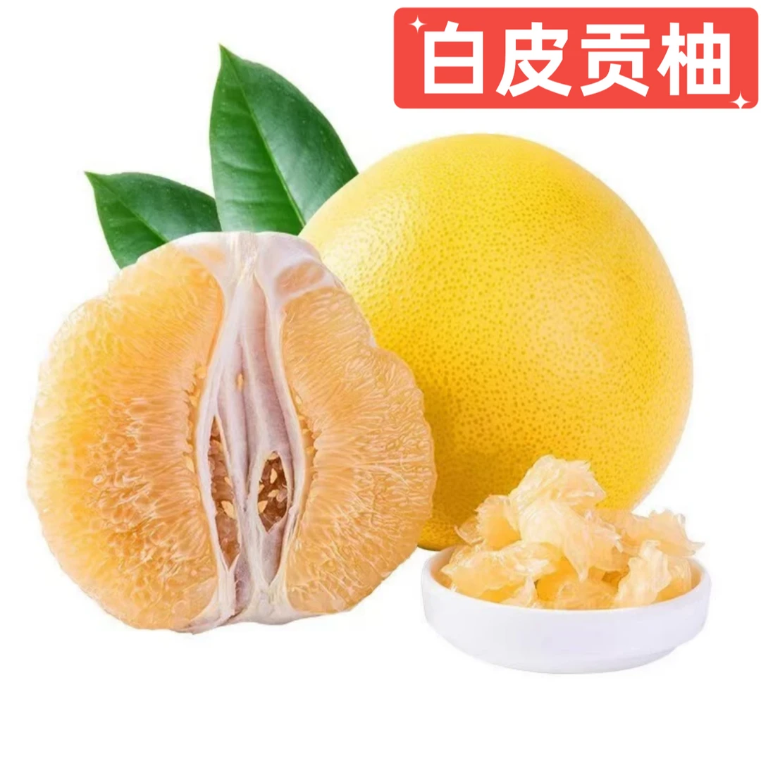 【舒局长助农】本地多汁白皮贡柚当季水果采摘酸甜可口产地新鲜好吃