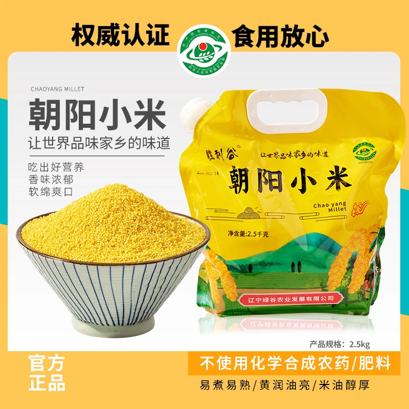 2025年新米K1黄金苗小米米油厚米香味浓香甜老少皆宜颗粒营养天然