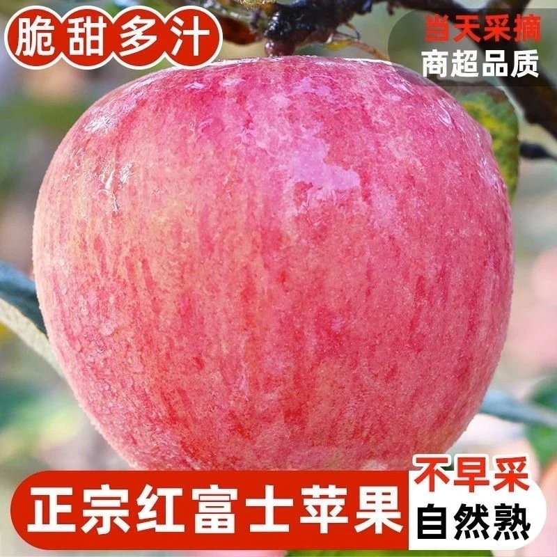 陕西红富士苹果高原红富士脆甜多汁4.5/8.5斤新鲜采摘产地直发