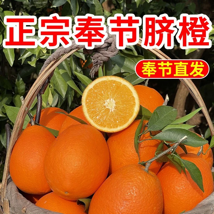 【现摘现发】奉节脐橙5-8斤礼盒装包邮粑粑新鲜正宗精品发货