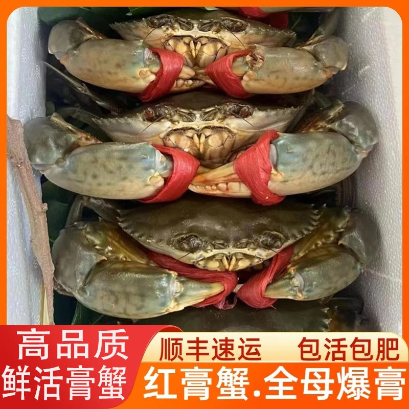 青蟹鲜活海鲜特大螃蟹公蟹母蟹肉蟹处子蟹俺仔蟹2斤3－5只