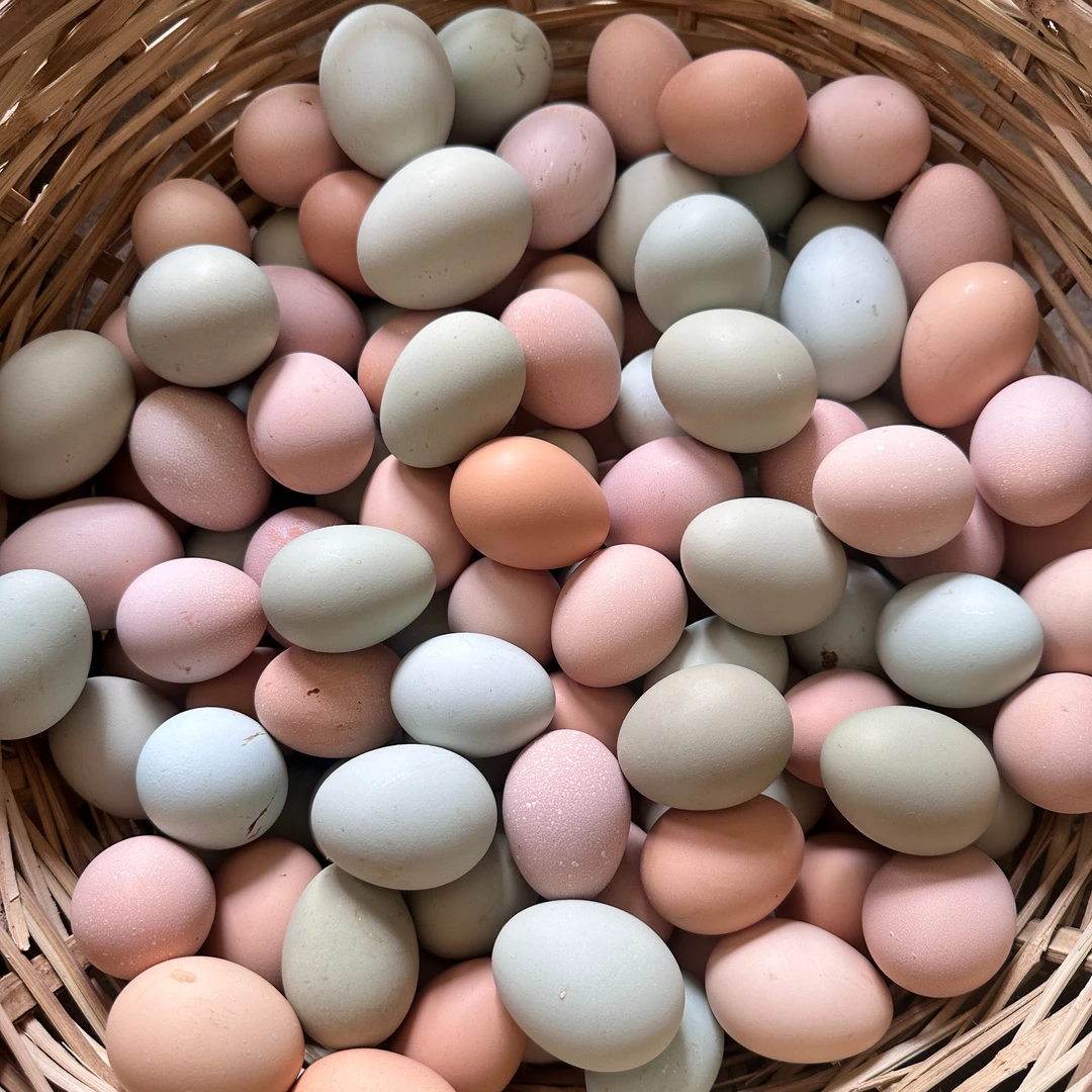 【顺丰直达】正宗纯粮散养绿壳粉壳土鸡蛋初生蛋高山喂养蛋30/50枚