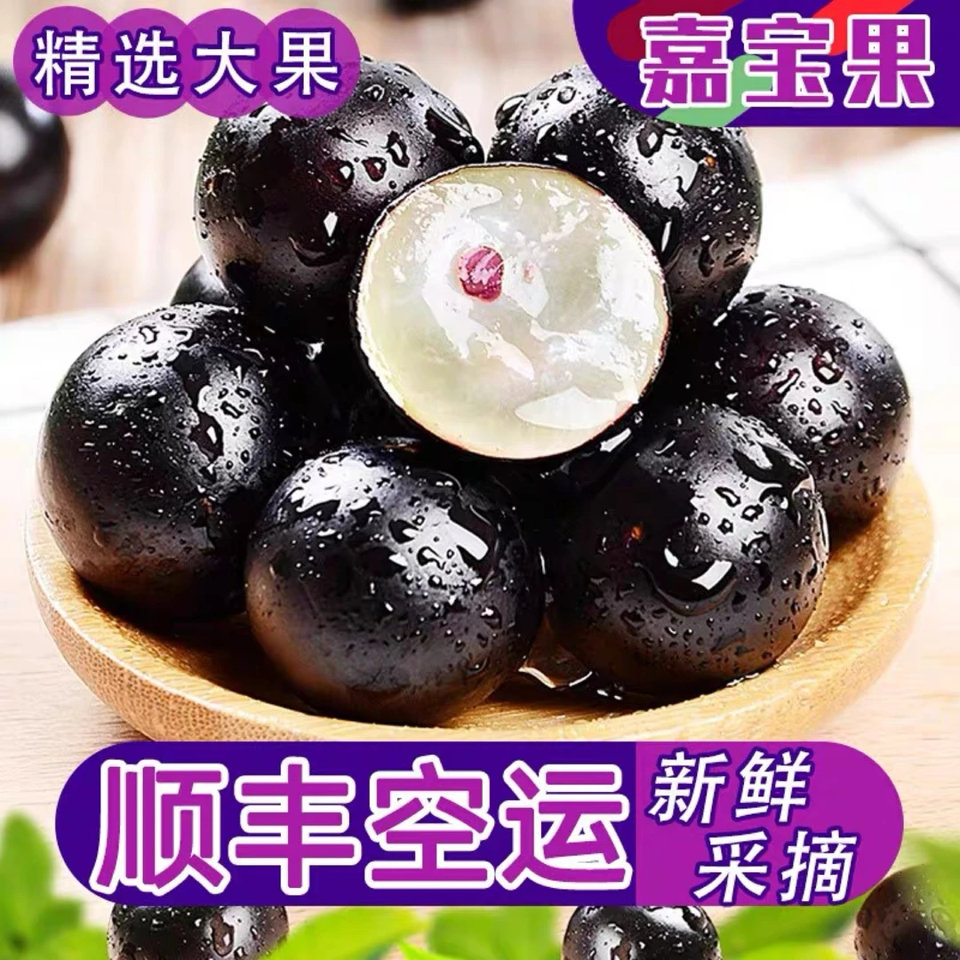 【顺丰包邮】嘉宝果新鲜应季酸甜爽口稀有热带孕妇水果新鲜饱满爆汁