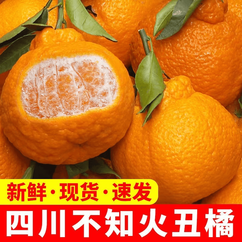 【酸甜多汁】四川蒲江不知火装丑橘丑柑丑橘时令应季水果5斤10斤装