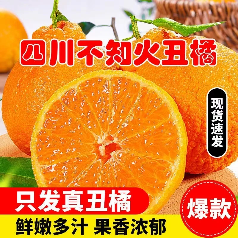 【酸甜多汁】5斤10斤装四川蒲江不知火装丑橘丑柑丑橘时令应季水果