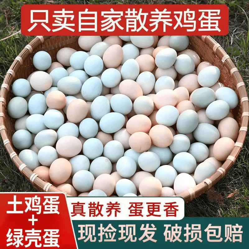 【顺丰直达】正宗纯粮散养绿壳粉壳土鸡蛋初生蛋高山喂养蛋30/50枚