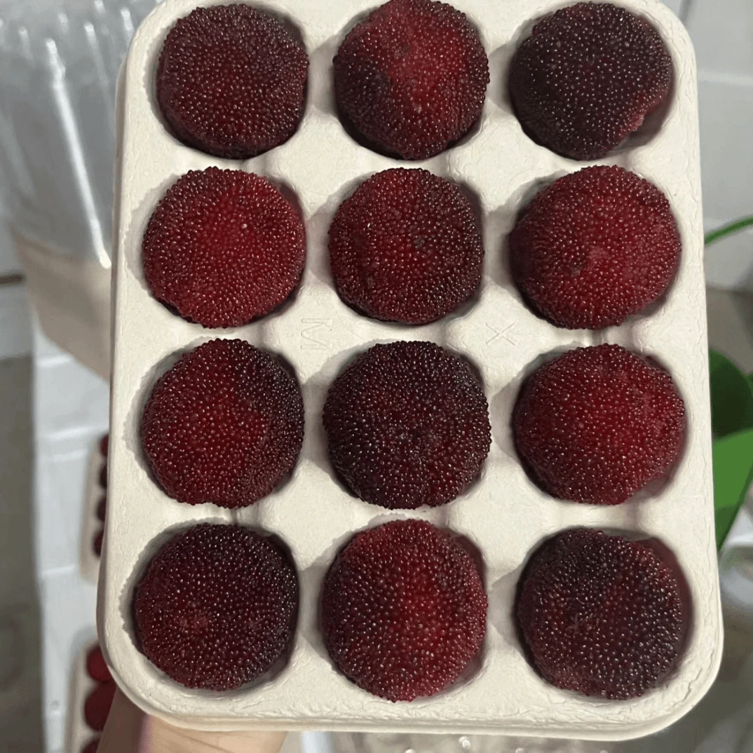 【顺丰空运】浙江仙居东魁杨梅鲜果现摘现发应季时令水果送礼杨梅