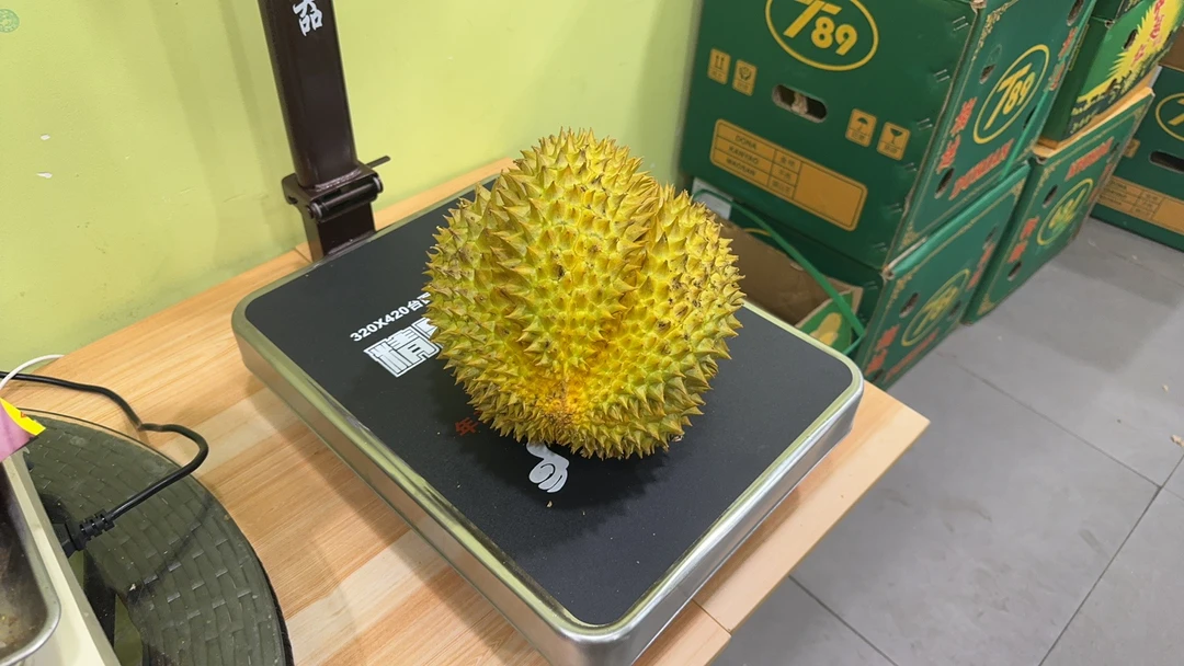 金枕榴莲