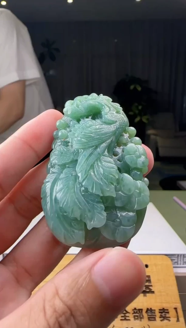 【闪购商品】翡翠颈饰未镶嵌XM@@WSPY01948