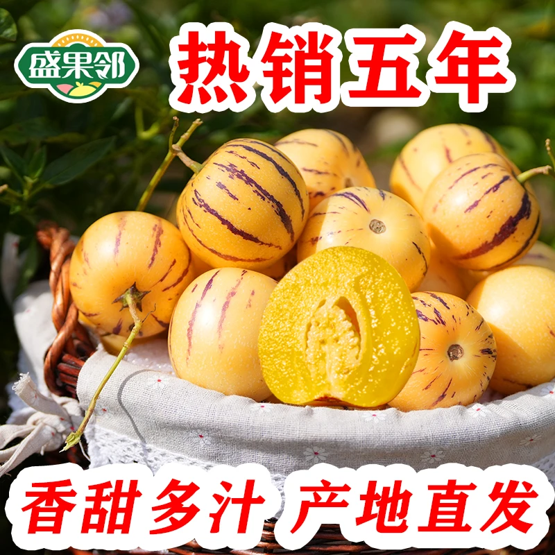 盛果邻 现摘云南石林人参果圆果精选大果清甜多汁当季新鲜水果