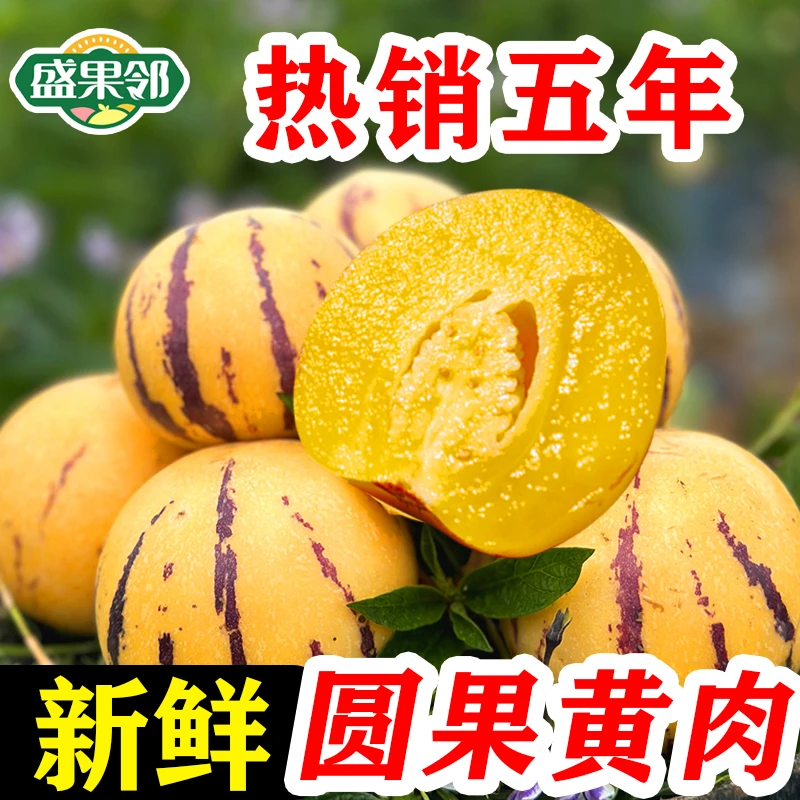 盛果邻  云南石林人参果圆果黄心大果皮薄多汁当季新鲜水果包邮
