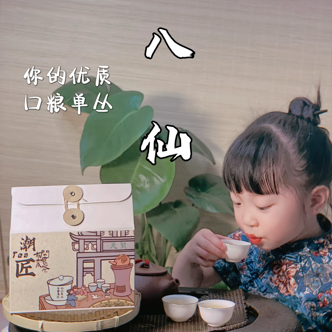 头春八仙芝兰香型 凤凰单枞茶潮州凤凰单丛茶 花香浓香型乌龙茶