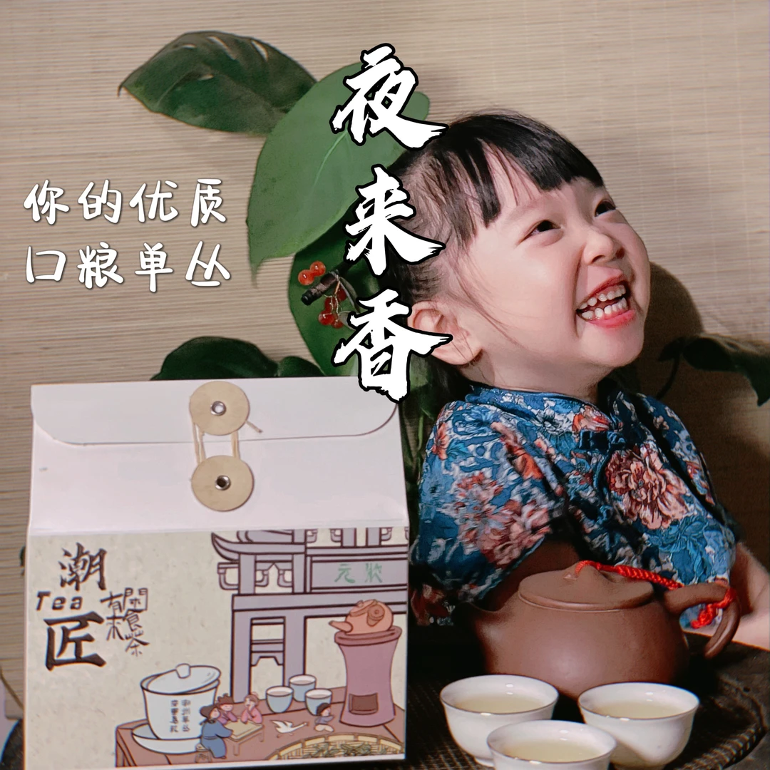 头春高山夜来香 凤凰单枞茶潮州凤凰单丛茶 花香高香清香型乌龙茶