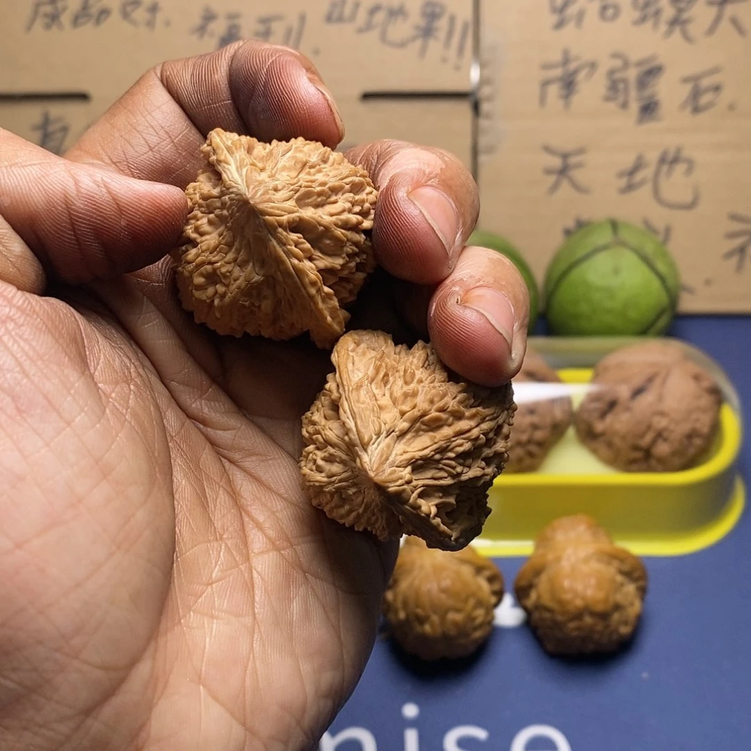 核桃核雕满天星38。