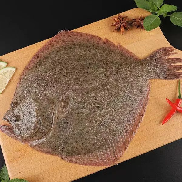 多宝鱼比目鱼八宝鱼大菱鲆新鲜冷冻海鱼野生海鲜水产批发1000g