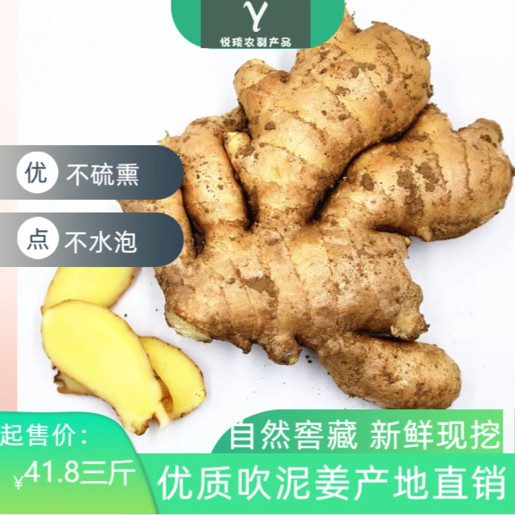 【优质吹泥姜 】沂蒙山自然窖藏小黄姜新鲜现挖不带泥3-5斤食用生姜