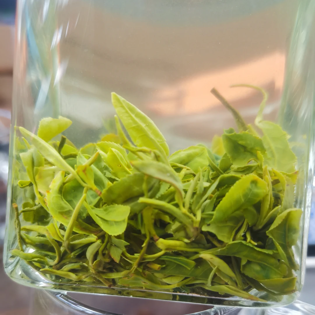 一斤装新日照绿茶,正季头采小芽,浓香豌豆香带花香。散装称秤