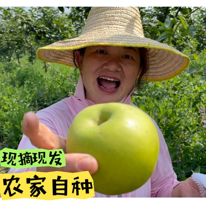 秀秀初夏苹果梨 现摘现发 带箱9.7-10 咬一口脆甜多汁