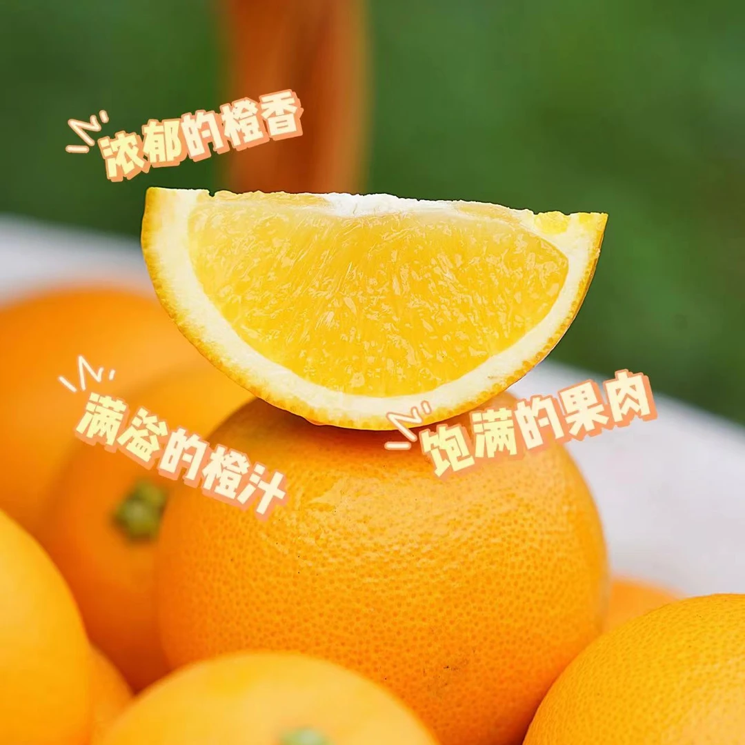 【福利款】天然湖南麻阳冰糖橙手剥橙甜橙新鲜采摘好吃带箱五斤包邮