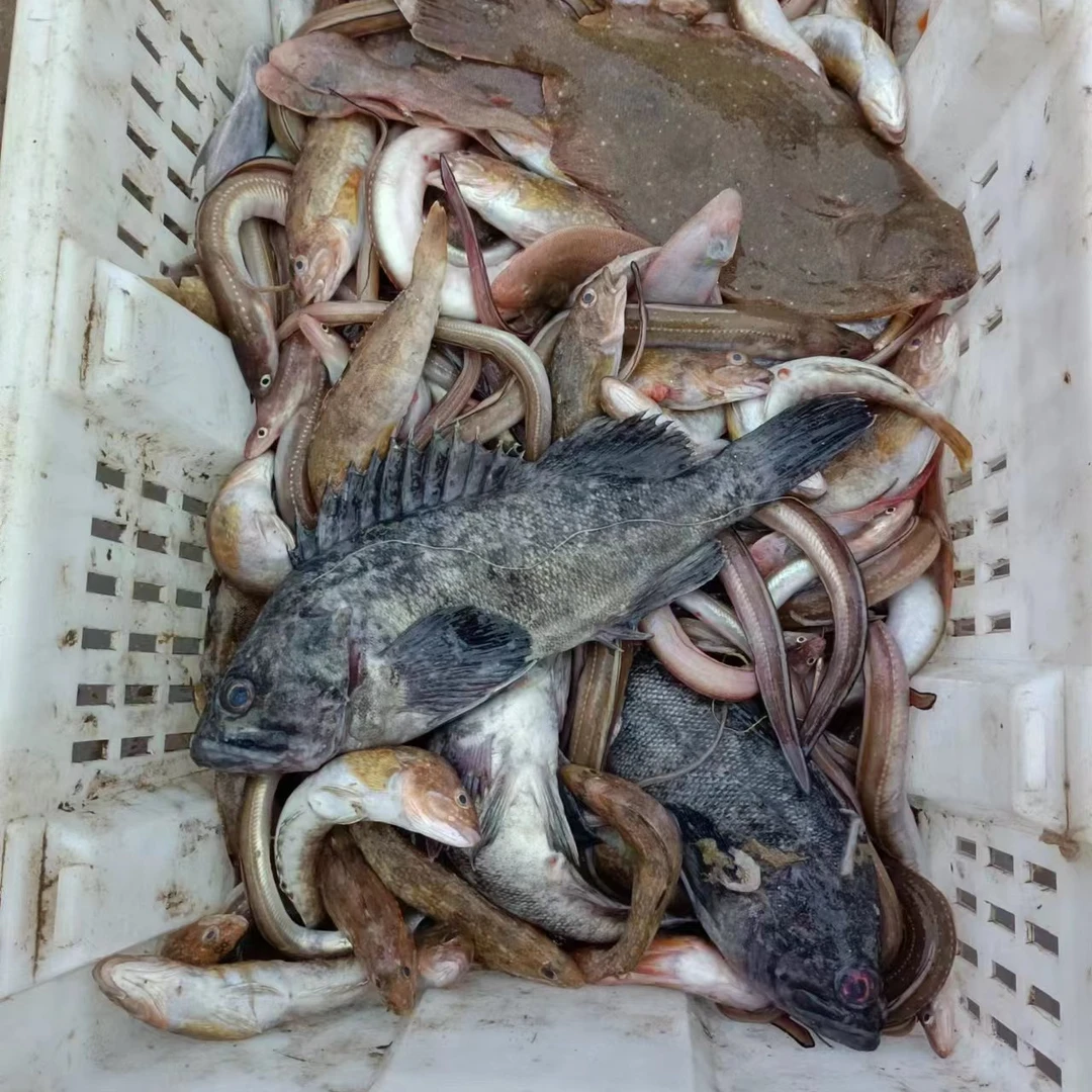 当潮海鲜鱼虾现场称重