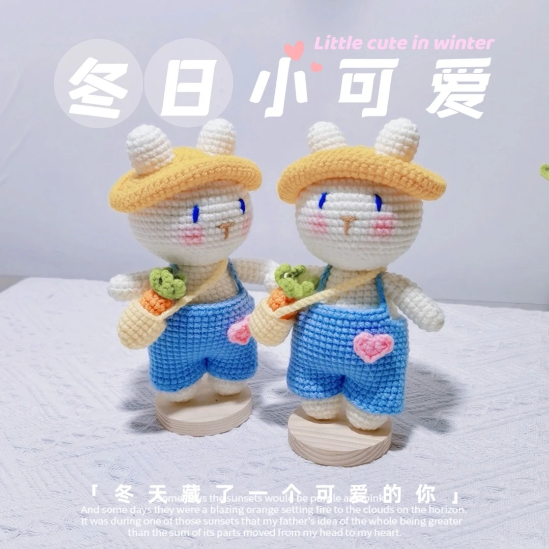 励志生活小兔兔材料包（非成品） 下单送教程