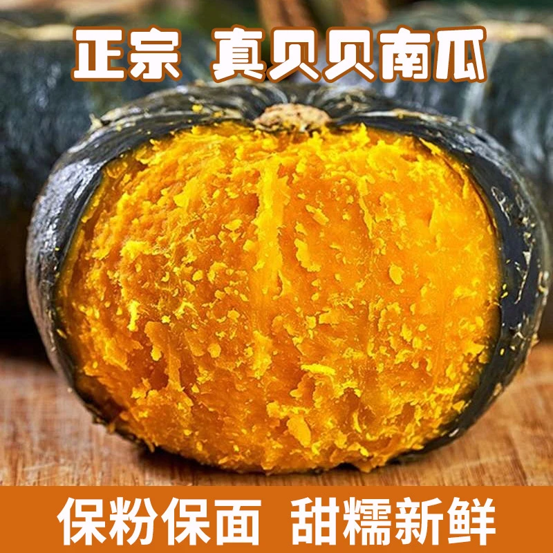 山东潍坊正宗贝贝南瓜粉糯香甜板栗味现摘现发婴儿宝宝辅食