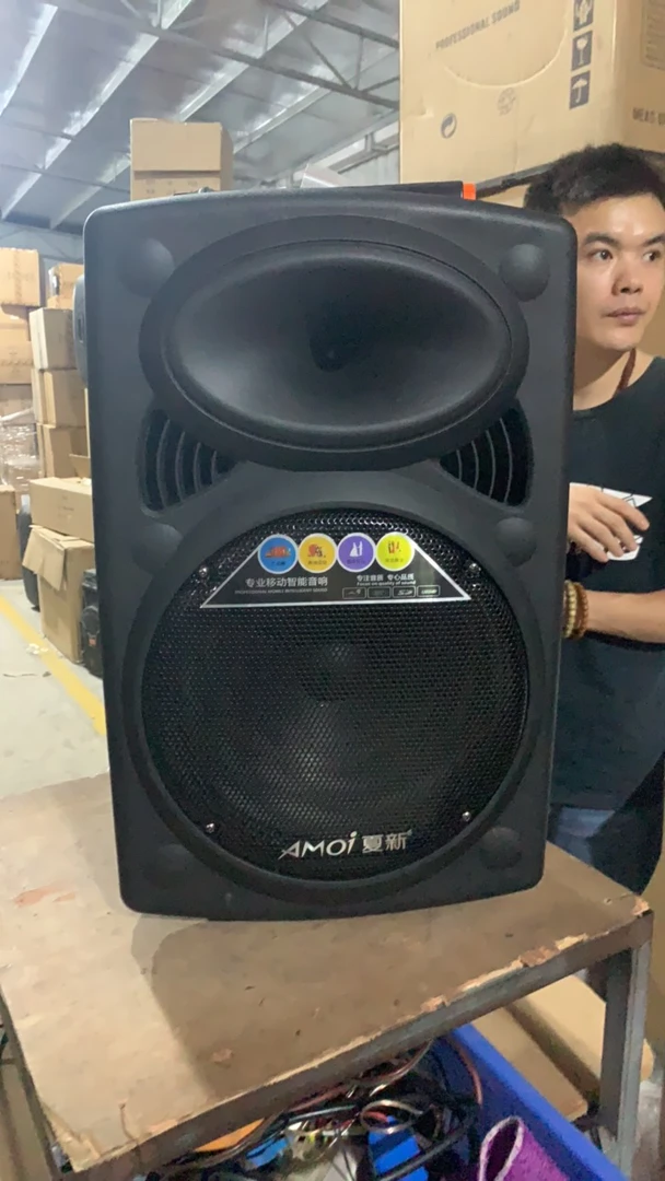 9新  12寸音箱，SA-882单麦，电池不质保