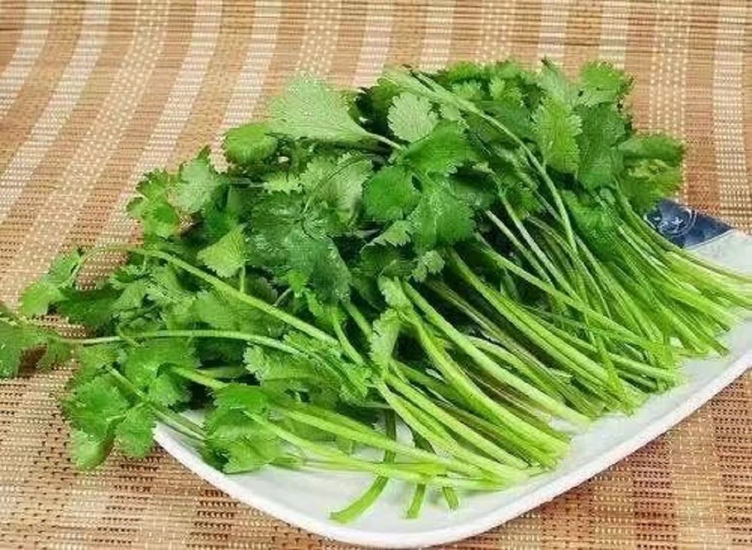 【四季可播】四季香菜阳台室内花卉盆栽庭院蔬菜籽1袋500克