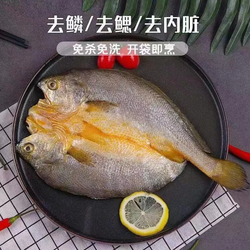 开背生鲜大黄鱼脱脂黄鱼鲞免杀洗三去黄花鱼冷冻海鲜200~249g/条