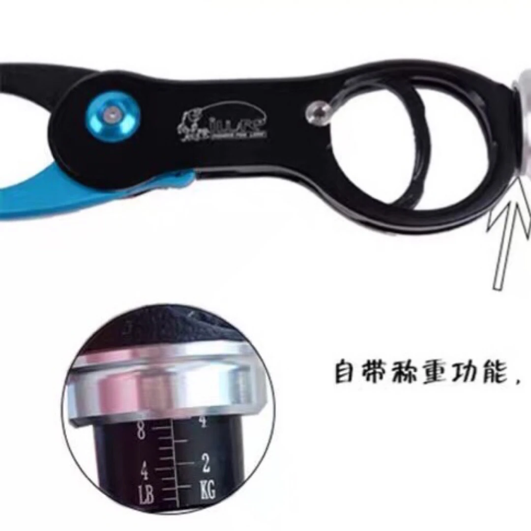 JINDUOYU/金多鱼带称控鱼器