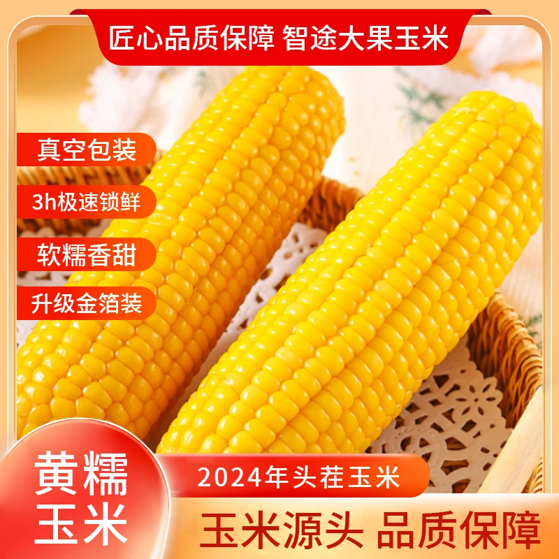 【试吃2根】24年头茬东北黄糯玉米整箱10根6斤以上铝箔金装智途专属