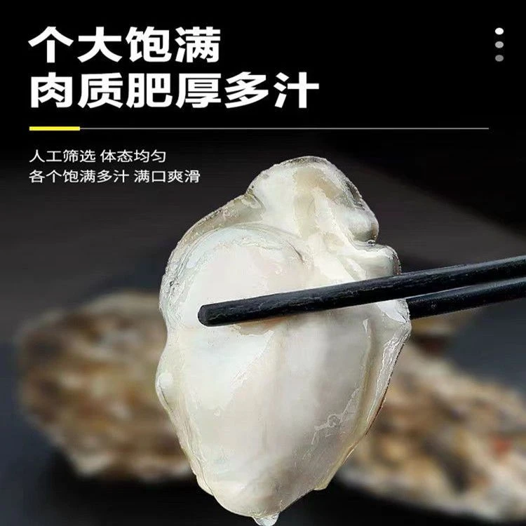 【湛江直发】顺丰包邮湛江生蚝5斤送礼佳品广东新鲜刺身大牡蛎