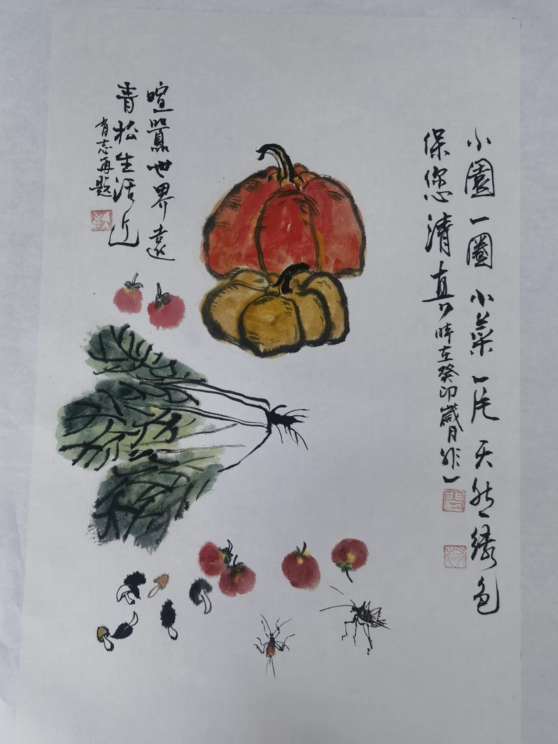 《小园一圈 小菜一片》南瓜 白菜