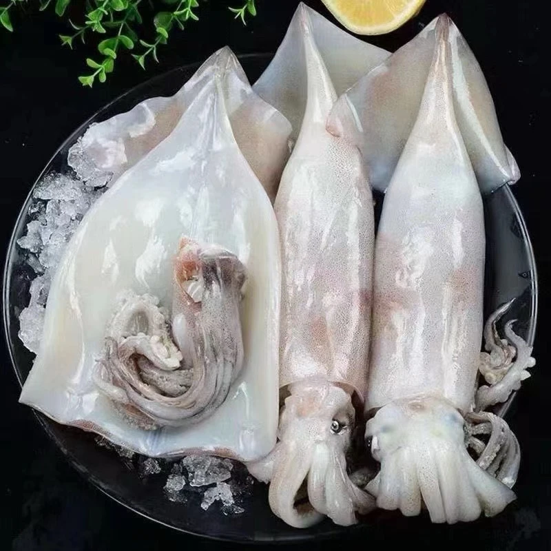 *去皮大鱿鱼 5斤/份 每份3-5条去皮去内脏免清洗 单条包装