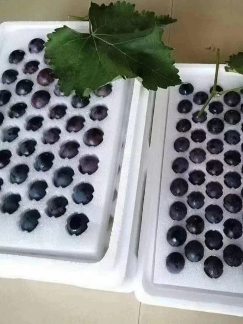 东北特产北镇辽峰葡萄颗粒包装自家种植2/3/5斤