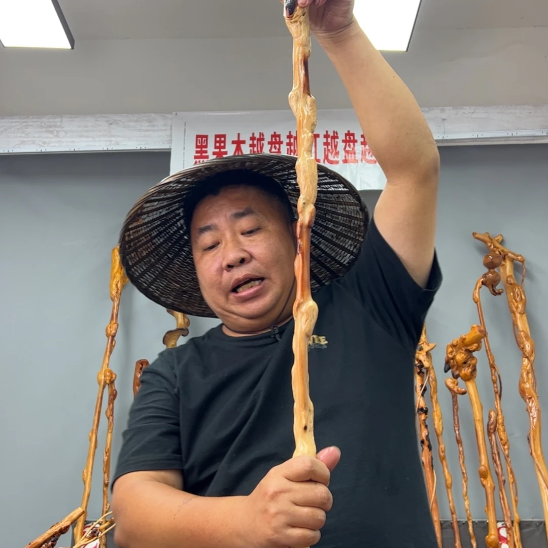 黑果木其他通*箓黑果木608