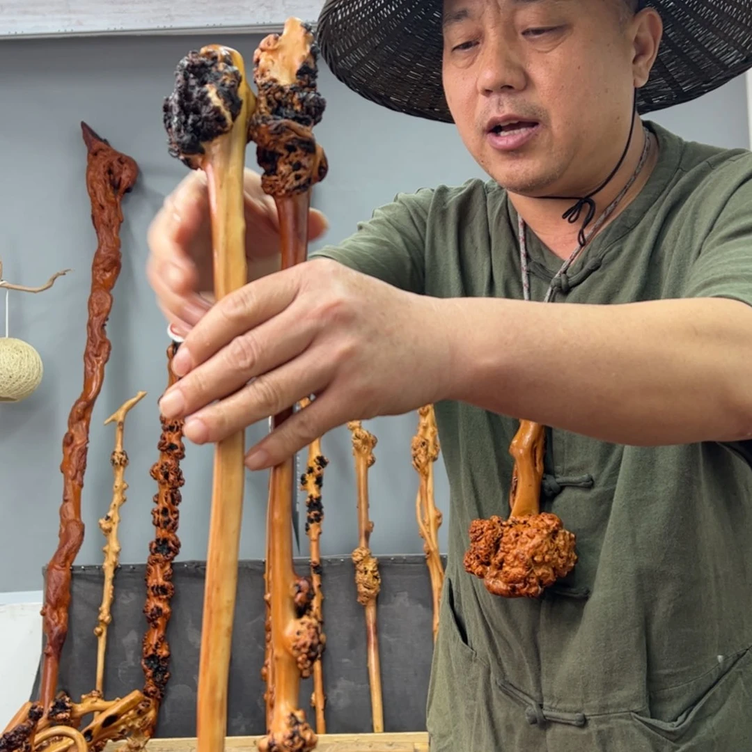 【闪购商品】黑果木其他车载105