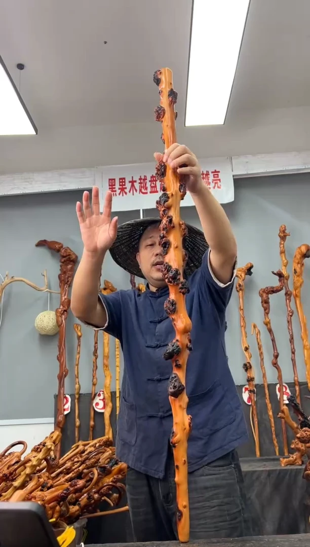 【闪购商品】黑果木其他黑果木172