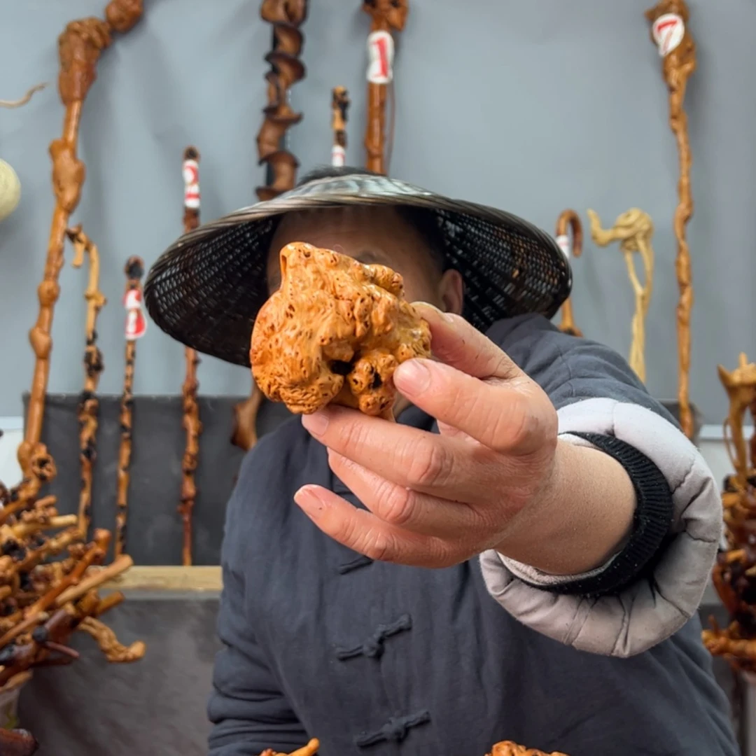 【闪购商品】黑果木其他看****水手把352