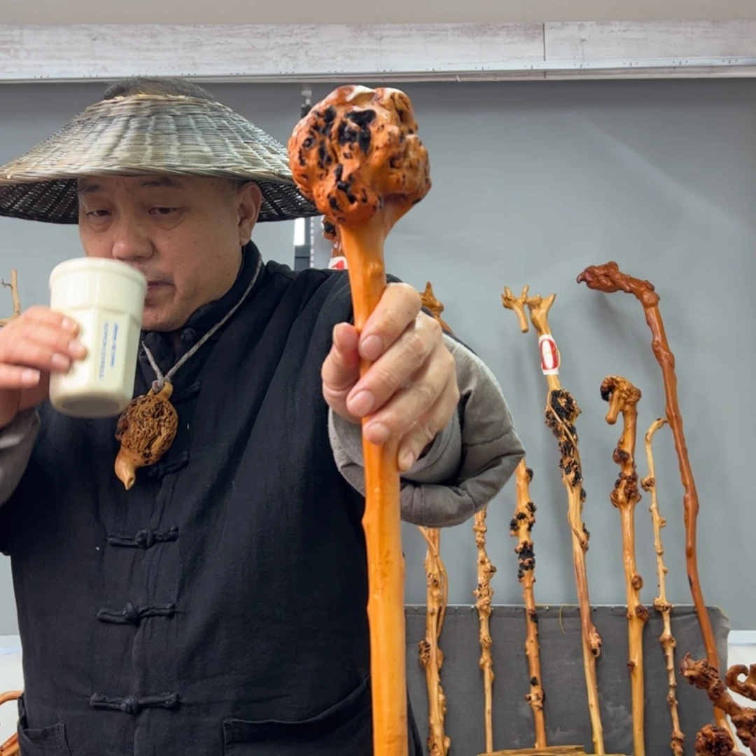 【闪购商品】黑果木其他东*车载876