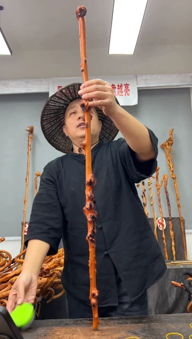 【闪购商品】黑果木其他黑果木626