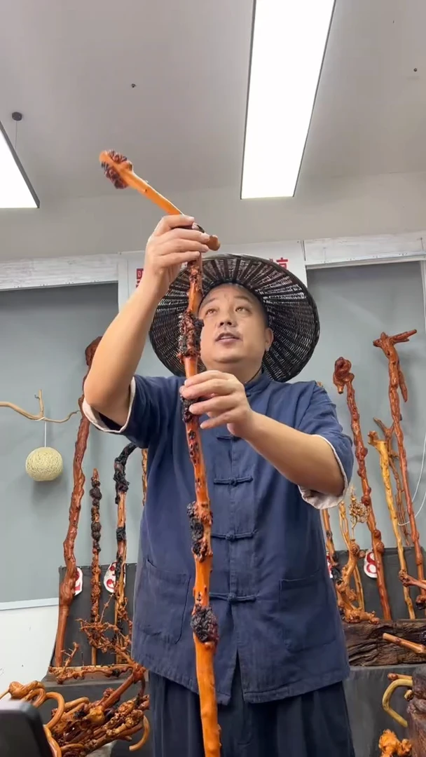 【闪购商品】黑果木其他黑果木478