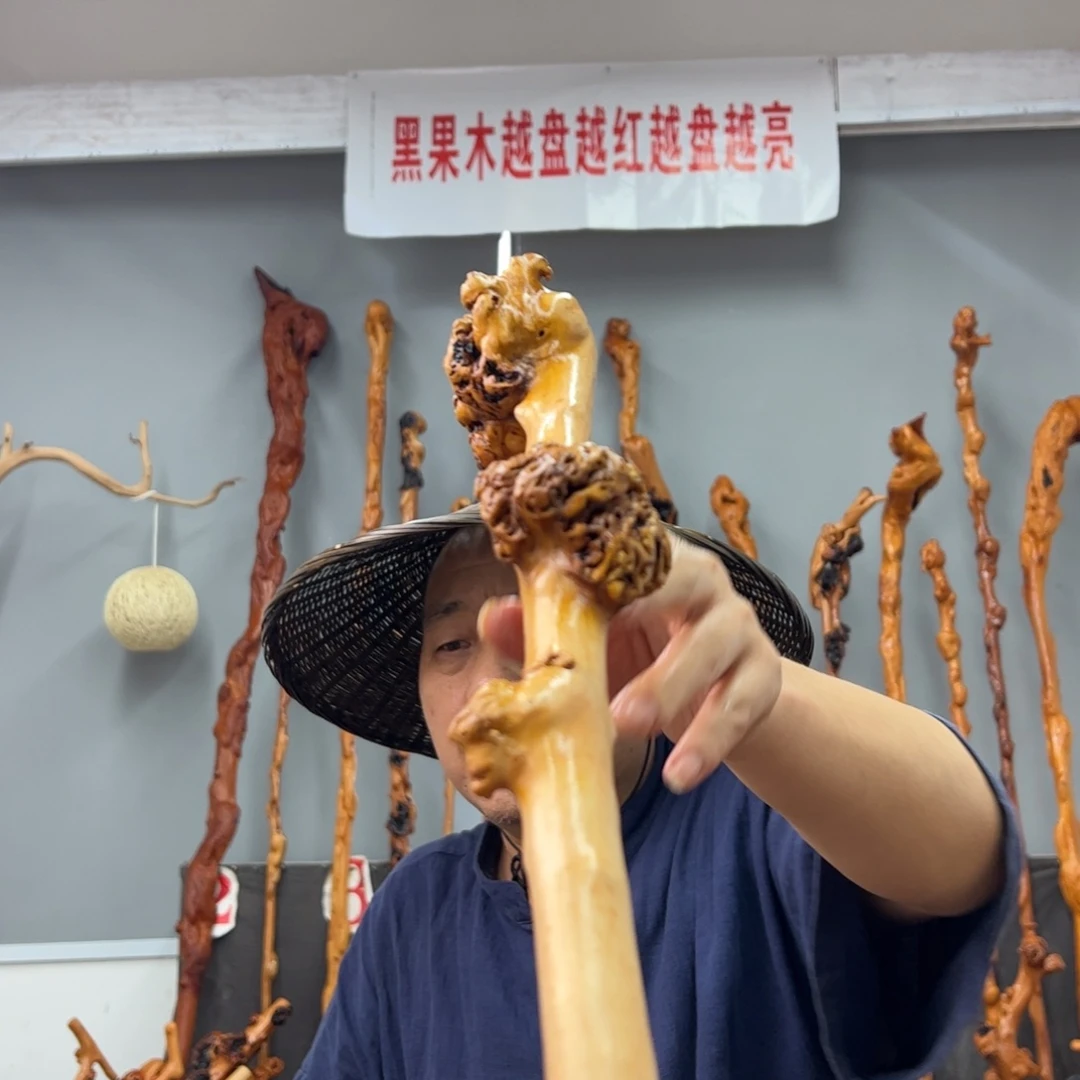 黑果木其他黑果木737