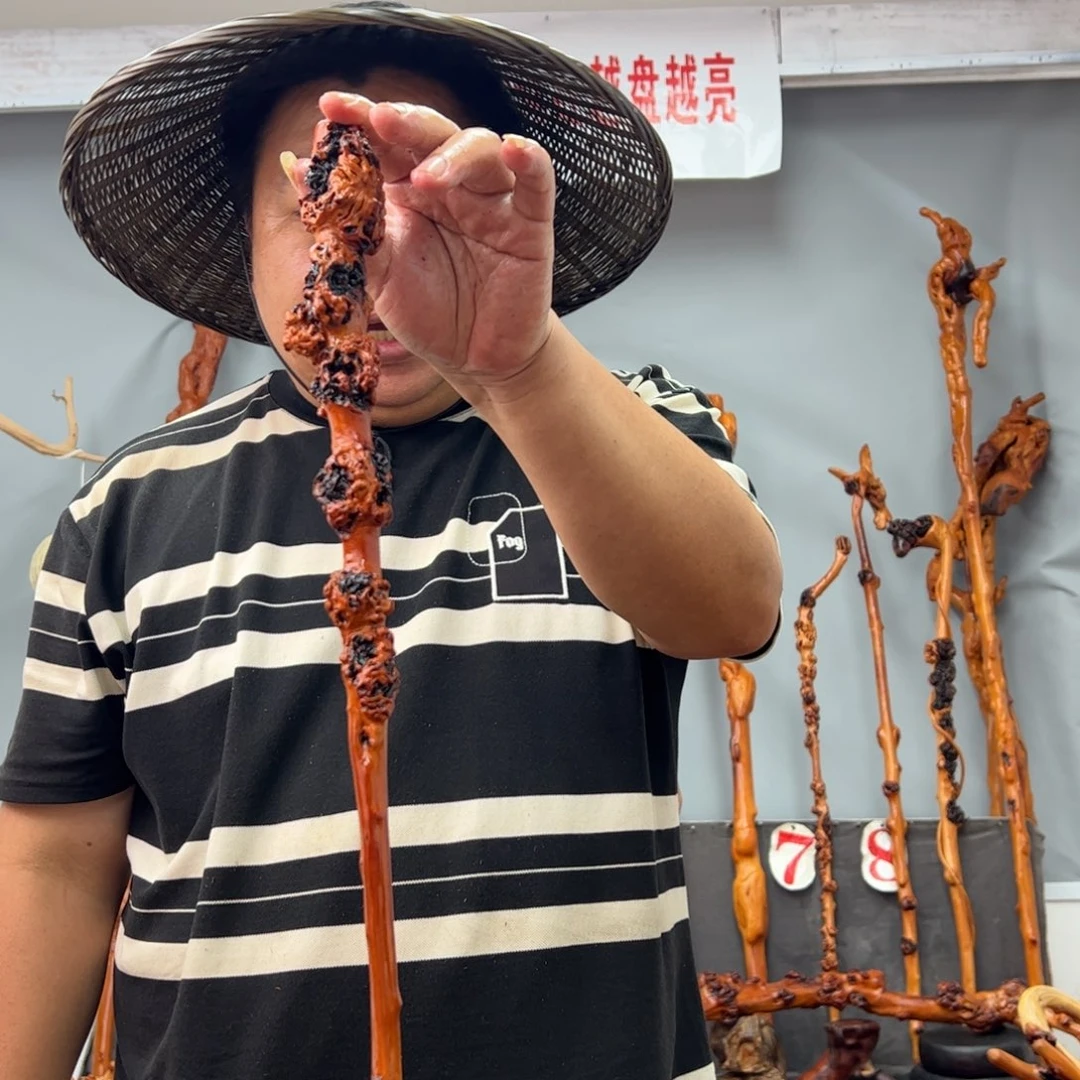 黑果木其他黑果木506